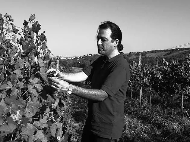 Scatto in bianco e nero di un momento della vendemmia