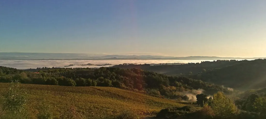 Alba sulle colline della tenuta